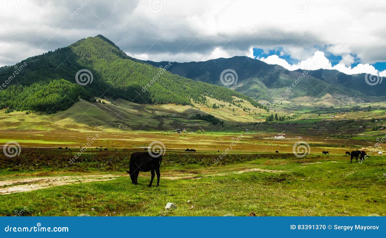 Landscape of Mountain Phobjikha Valley Himalayas, Bhutan Stock Photo
