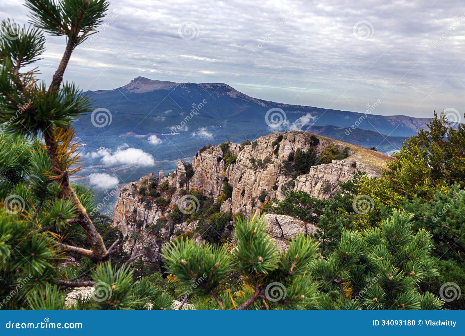 Landscape mountain pine stock photo. Image of crimea 34093180