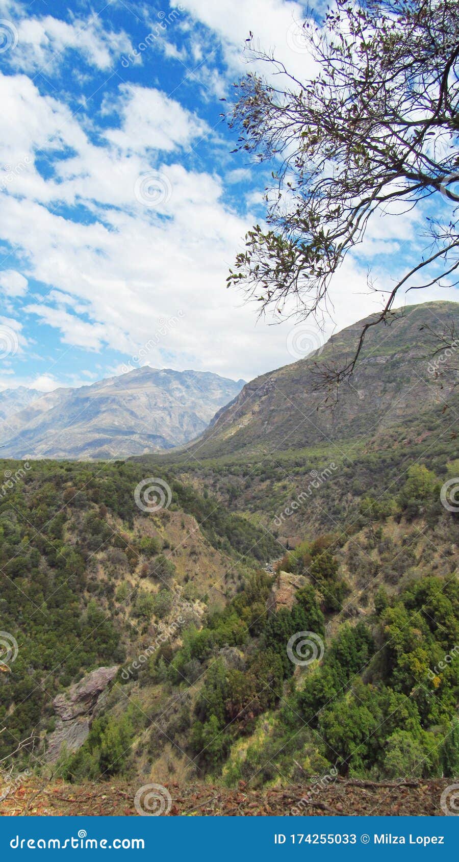 mountains in a nature reserve in chile