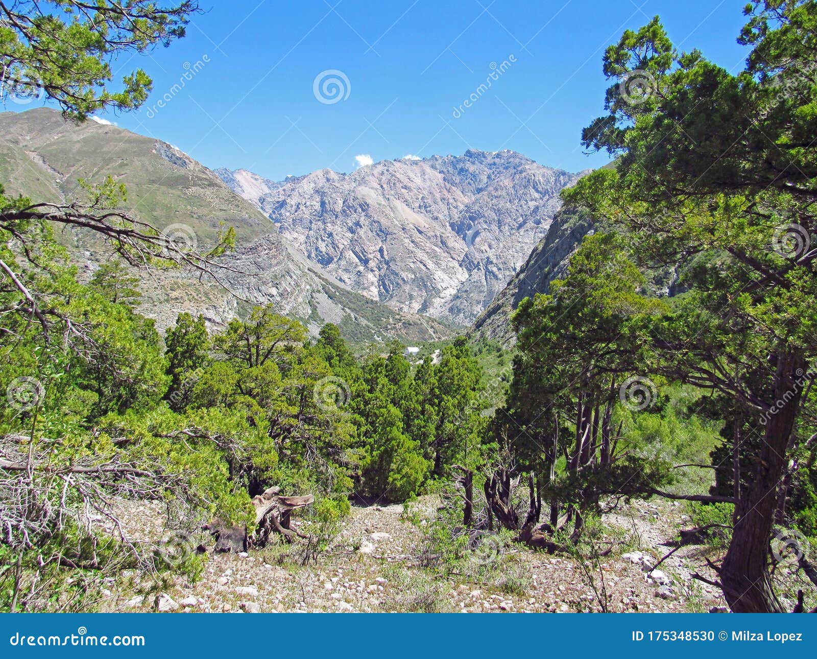 landscape of mountains and praire in los andes