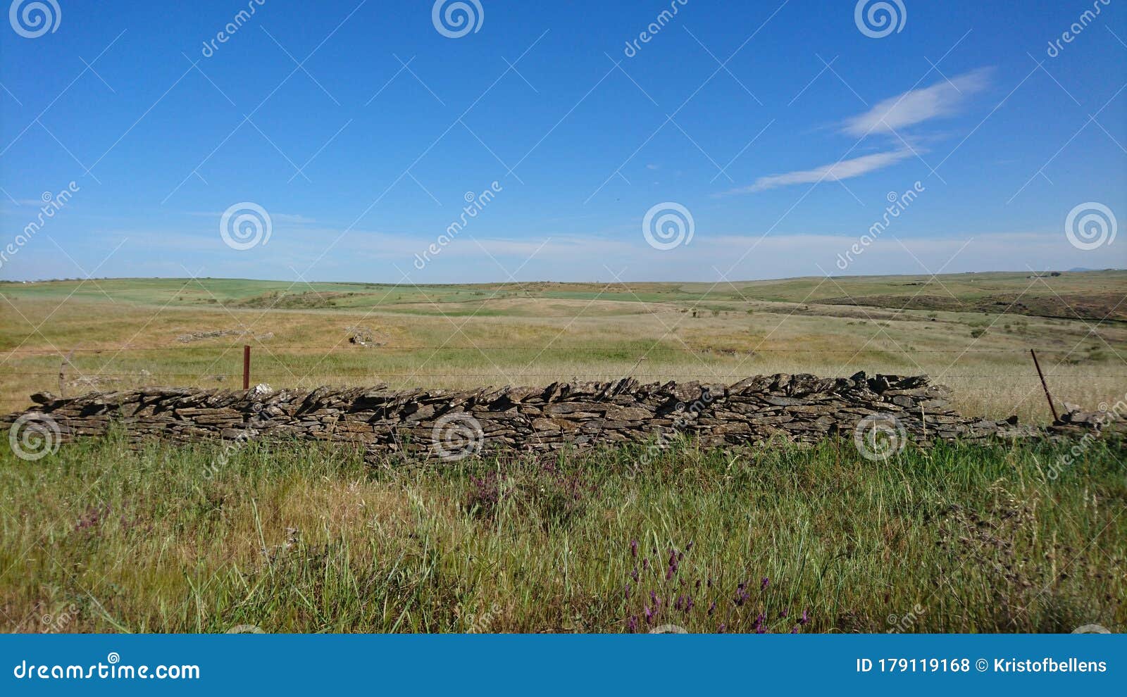 landscape of national park zona de interes regional llanos de caceres y sierra de fuentes in extremadura, spain