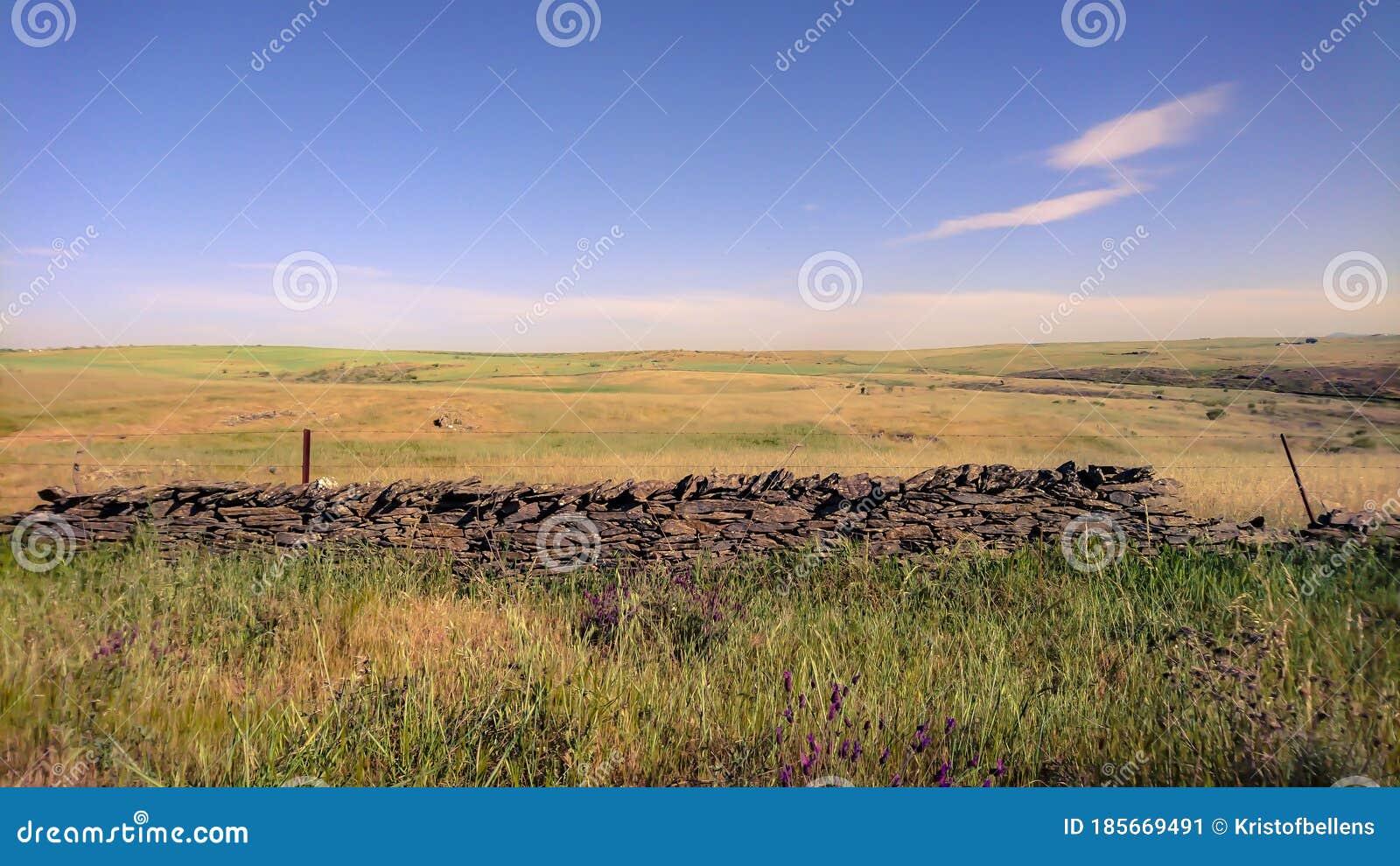 landscape of national park zona de interes regional llanos de ca