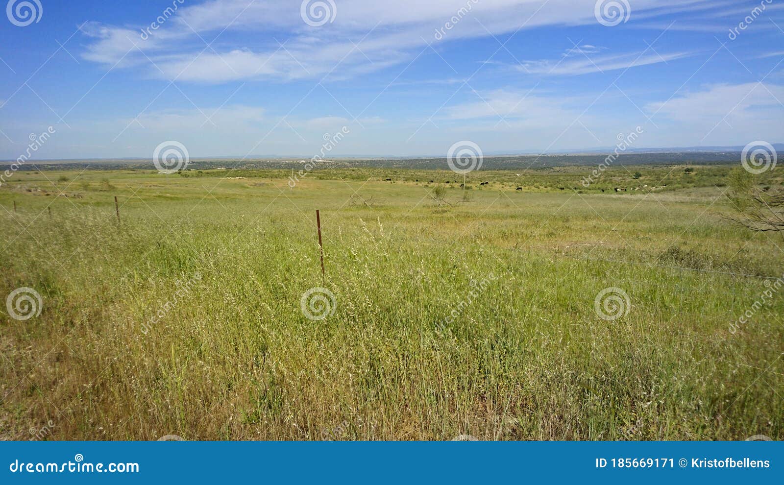 landscape of national park zona de interes regional llanos de caceres y sierra de fuentes in extremadura, spain. travel and