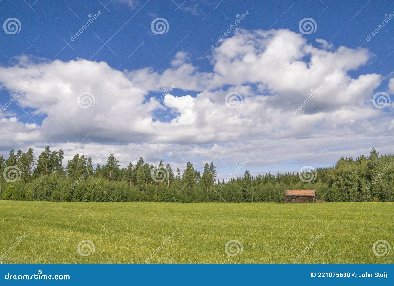 landscape near the swedish village bollnas