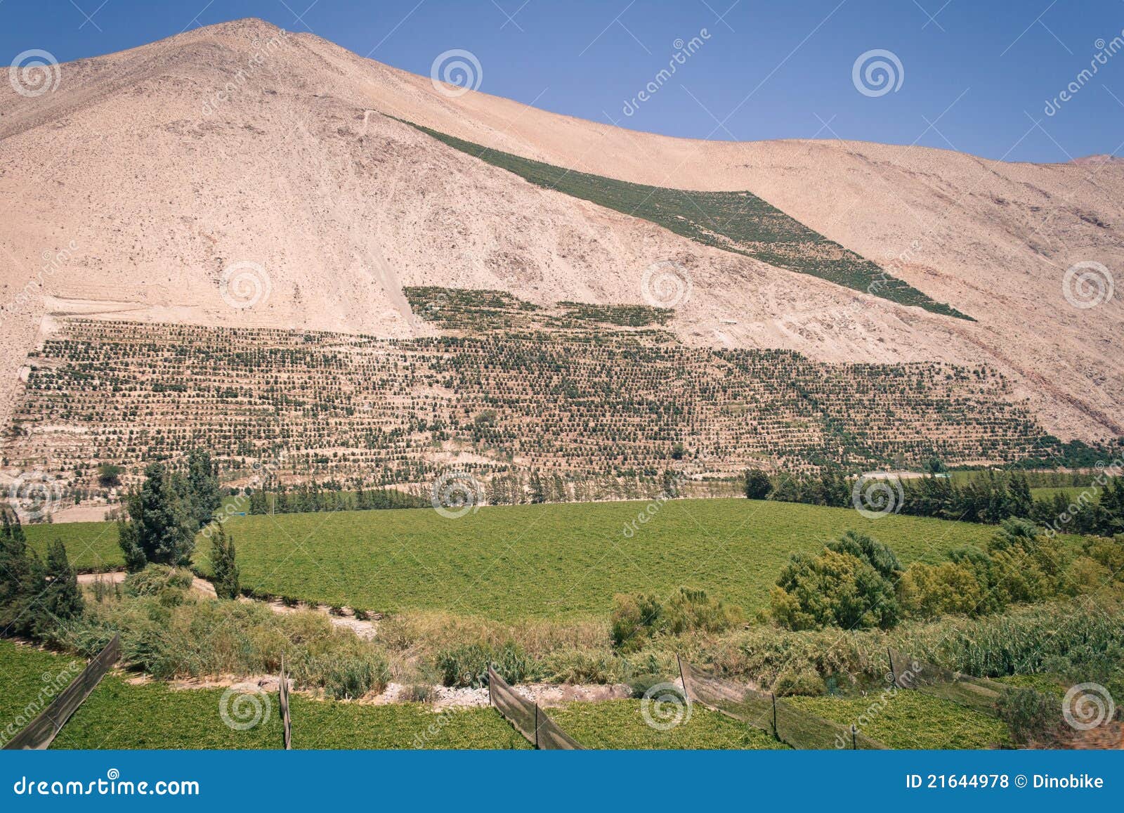 landscape near to pisco elqui