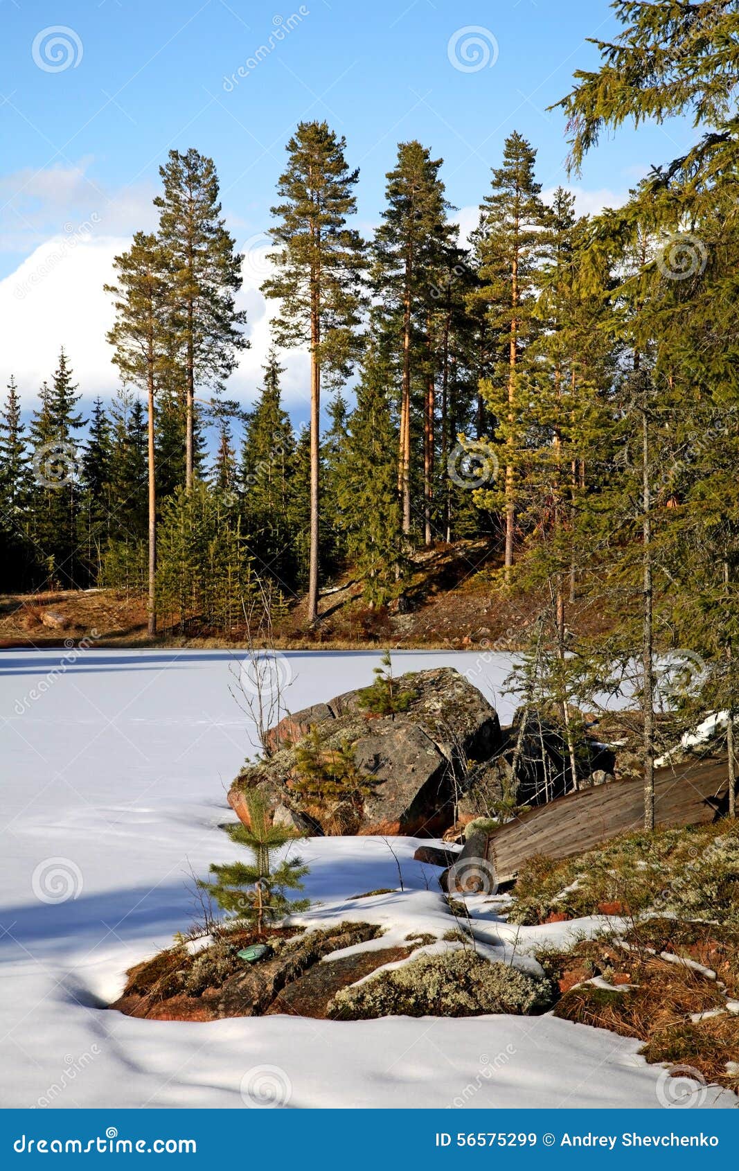 landscape near tomteland. dalarna. sweden