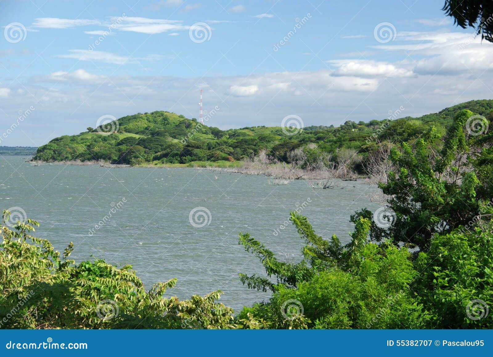 Landscape in Nicaragua stock image. Image of travel, mangrove - 55382707