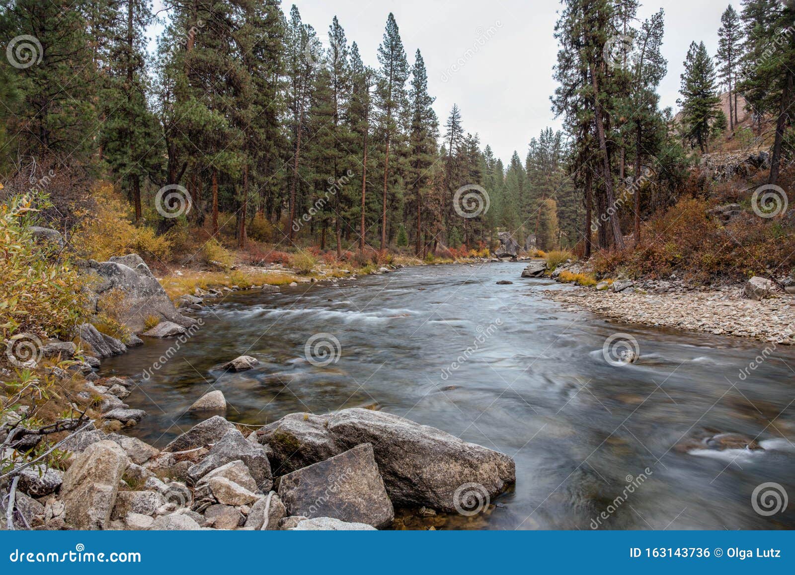 landscape of north fork of boise river in idaho in the fall