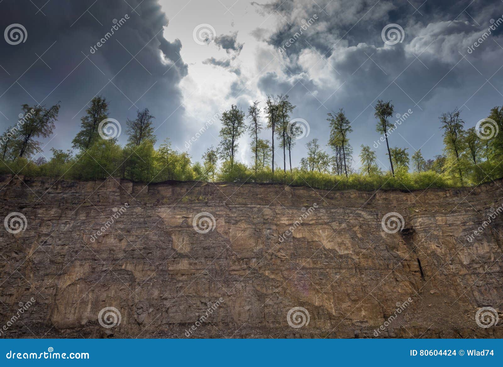 the landscape in an old and abandonedquarry