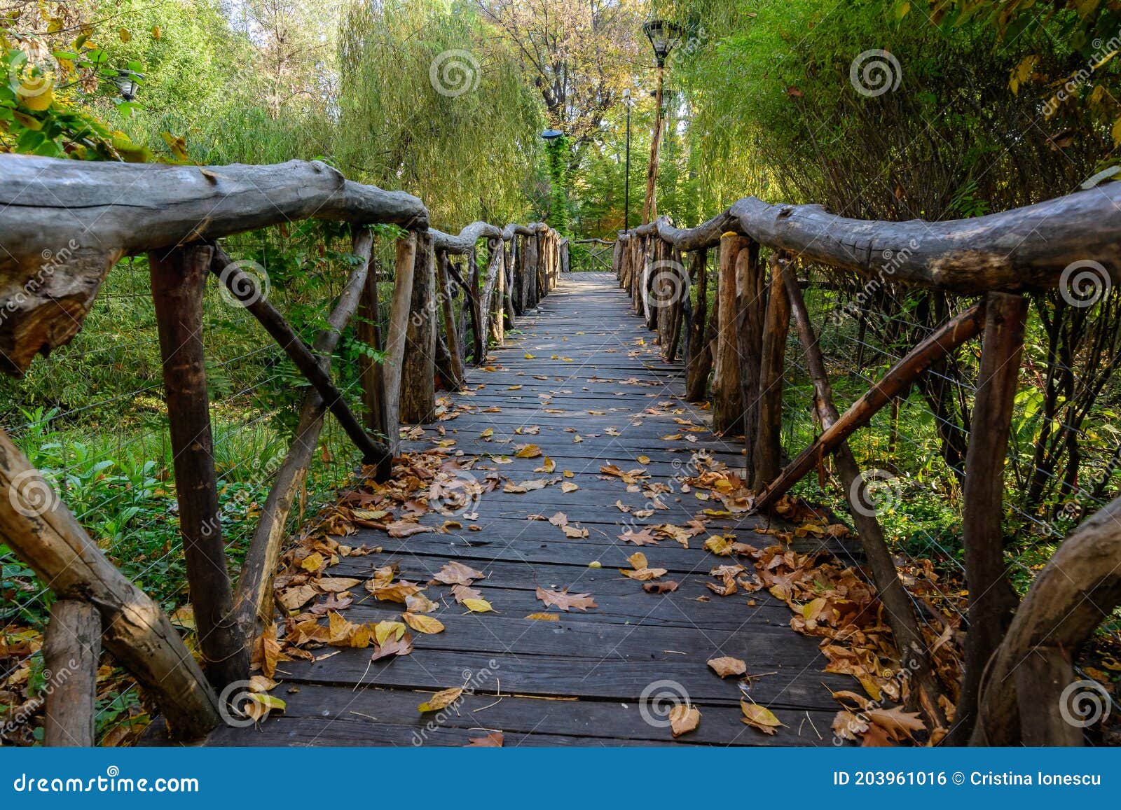 landscape with old wooden bridge, vivid green and yellow plants, green lime trees and grass in a sunny autumn day in parcul operei