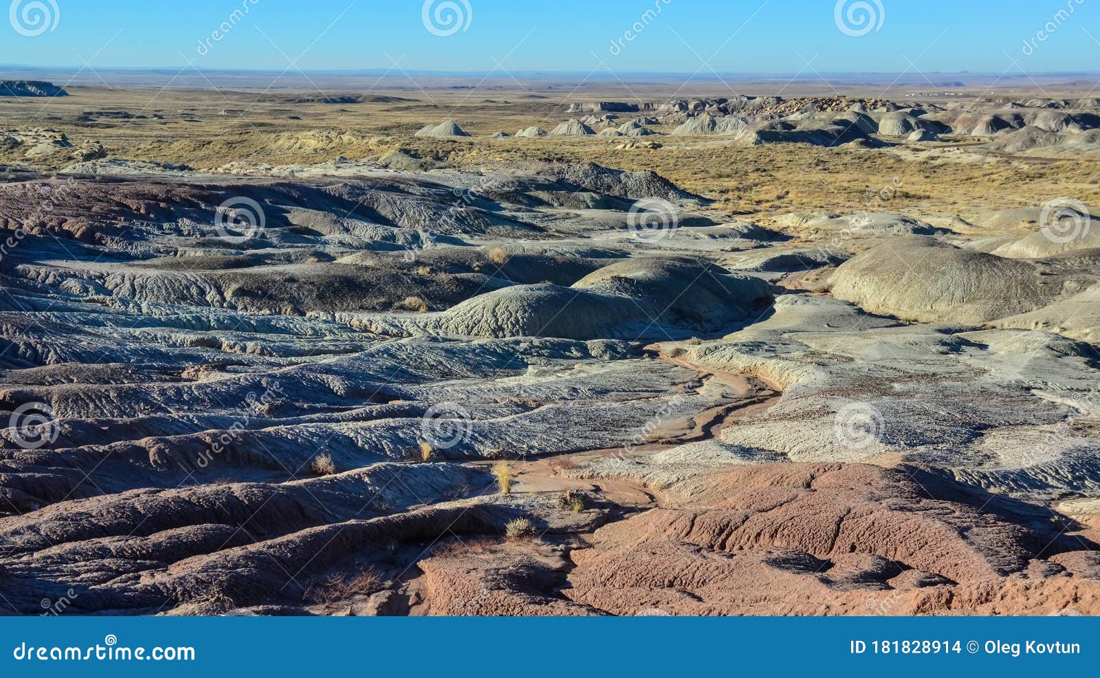 landscape, panorama of erosive multi-colored clay in petrified forest national park, arizona