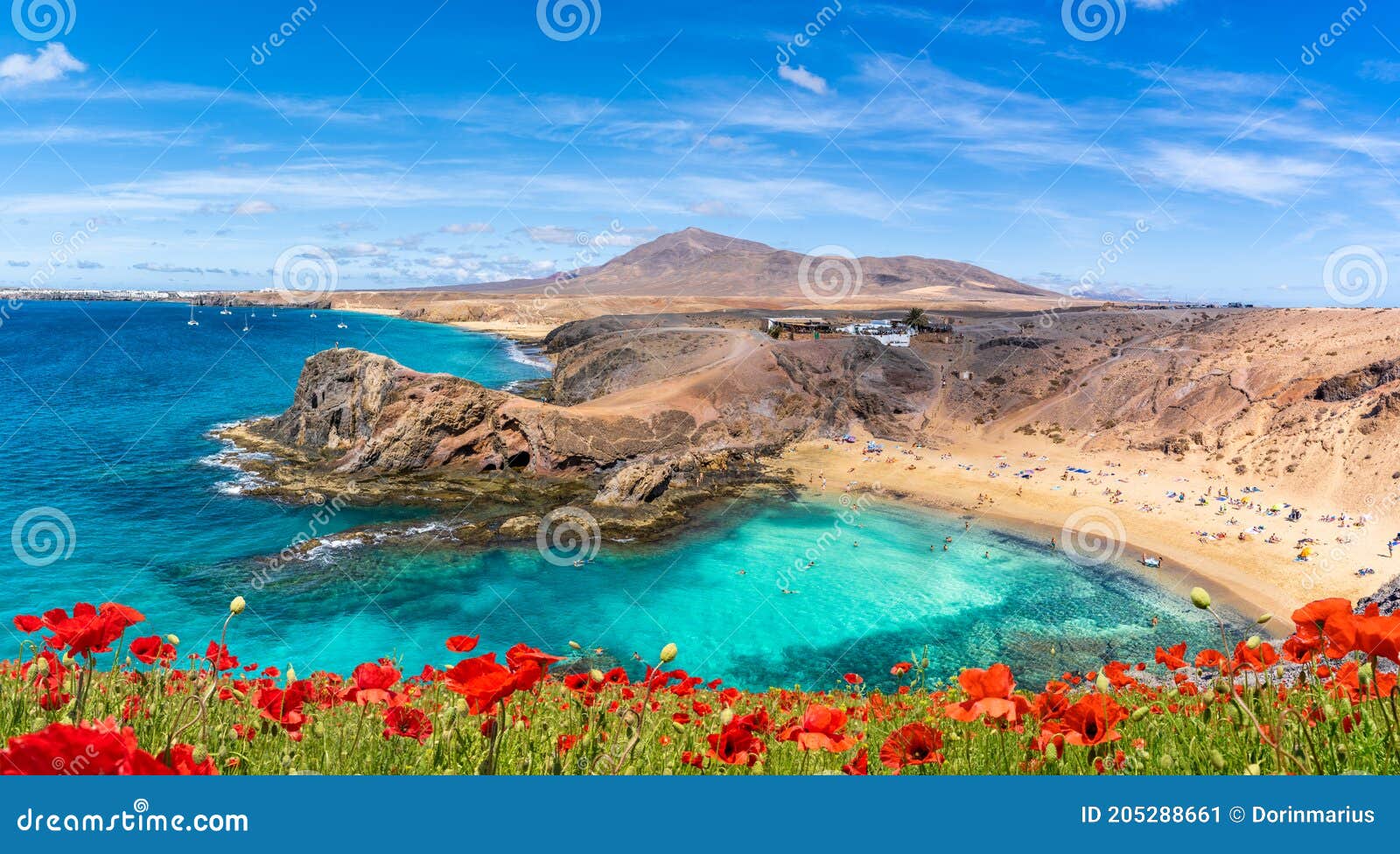landscape with papagayo beach