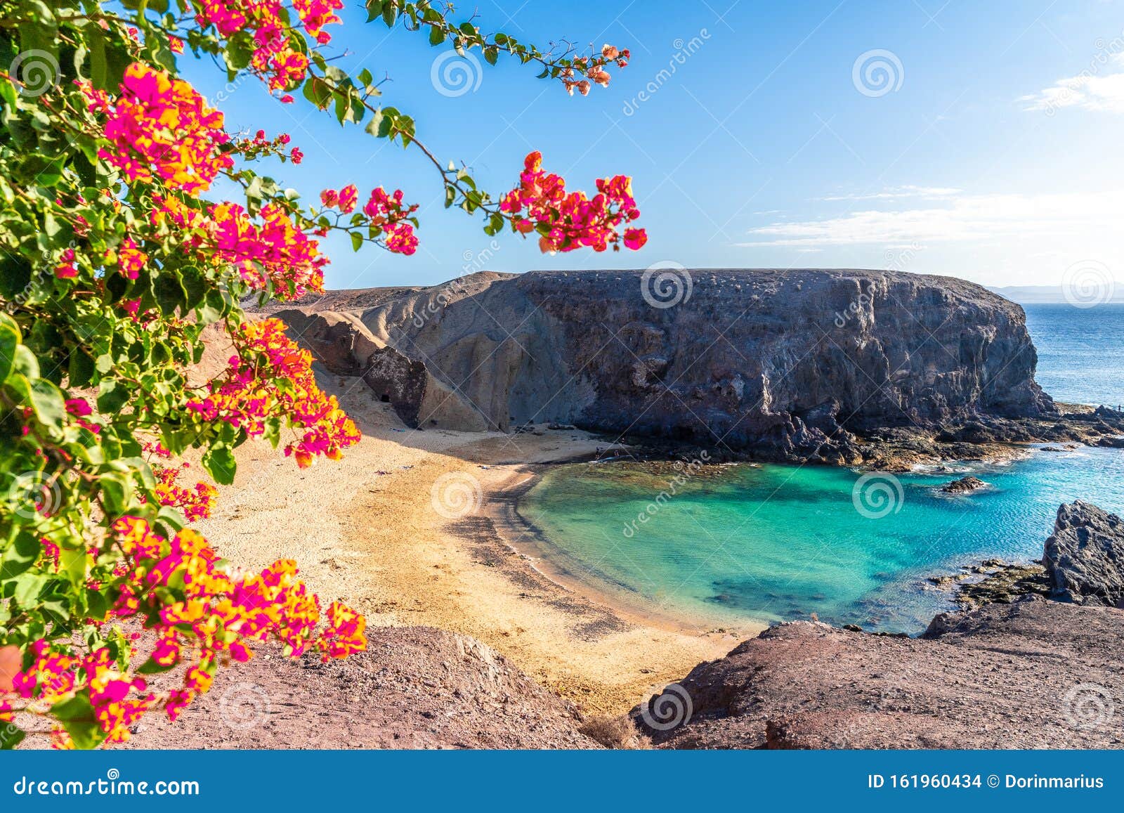 landscape with papagayo beach