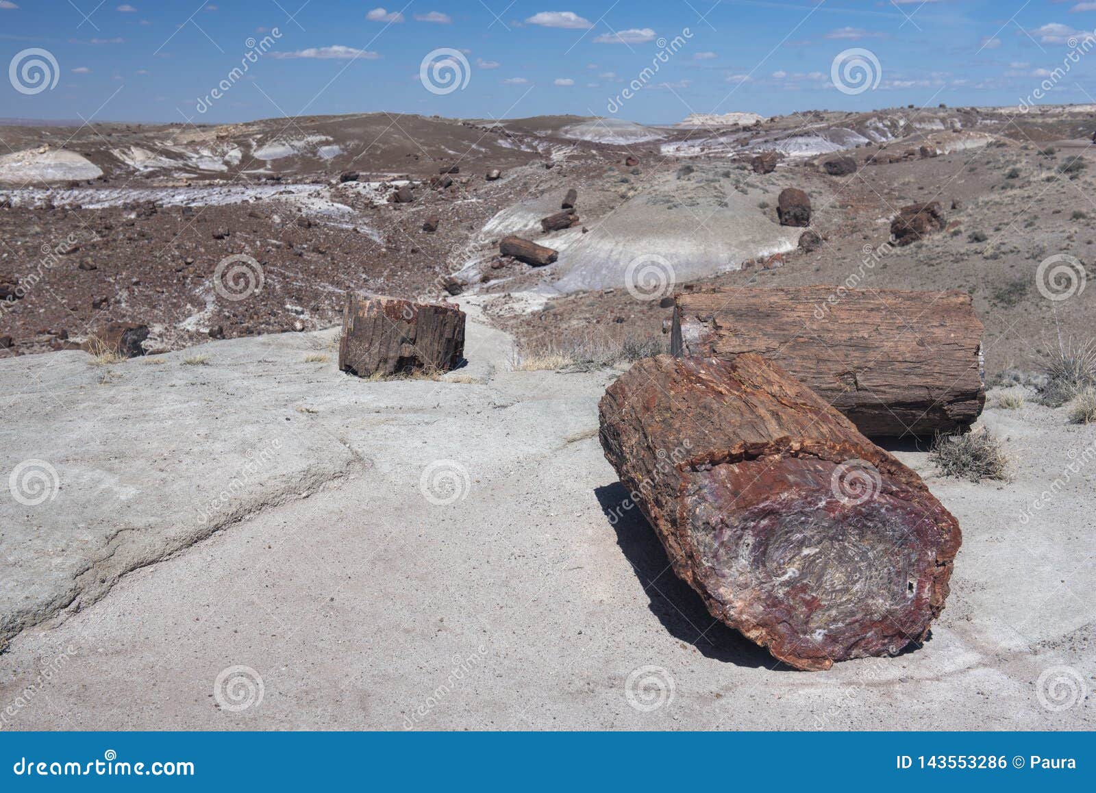 petrified forest national park