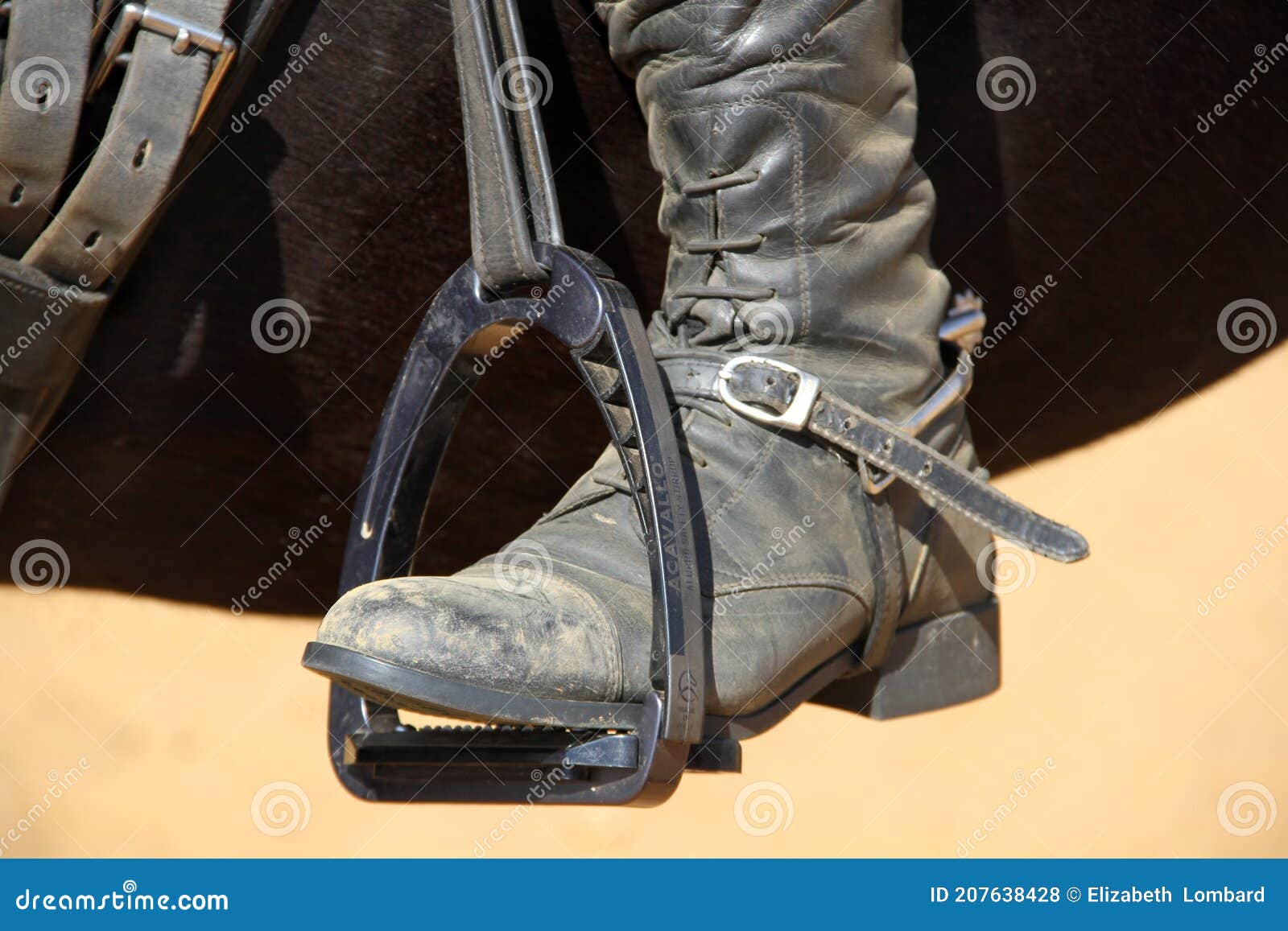 Landscape Photo of a Rider on a Horse with Dusty Boot in Stirrip. Stock ...