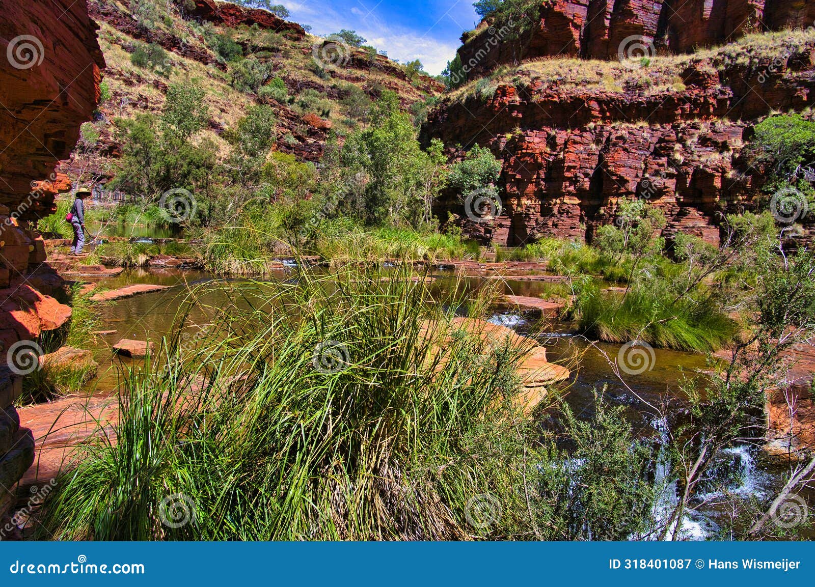 in the spectacular dales gorge, karijini national park, western australia.