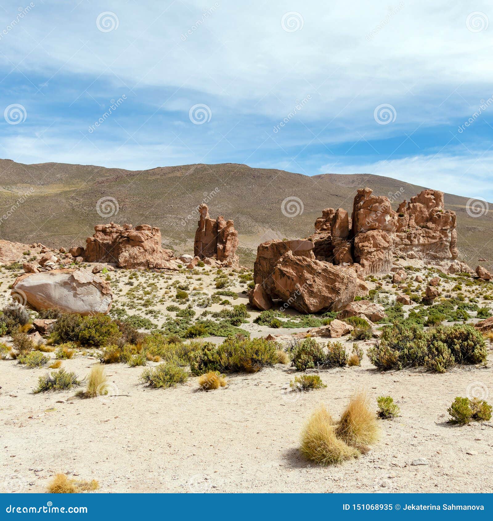My Image 5