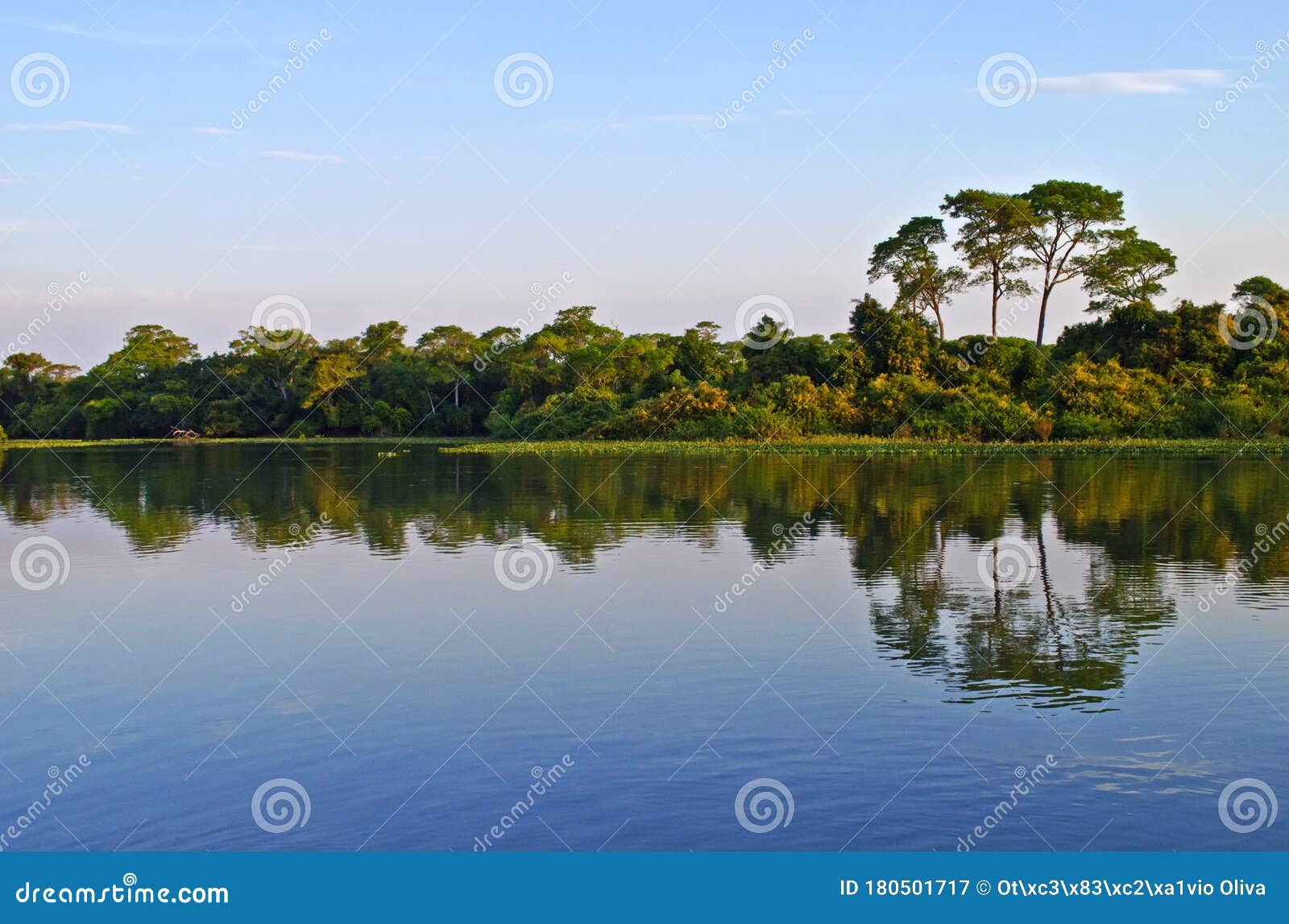 landscape in rio piquiri, pantanal, brazil