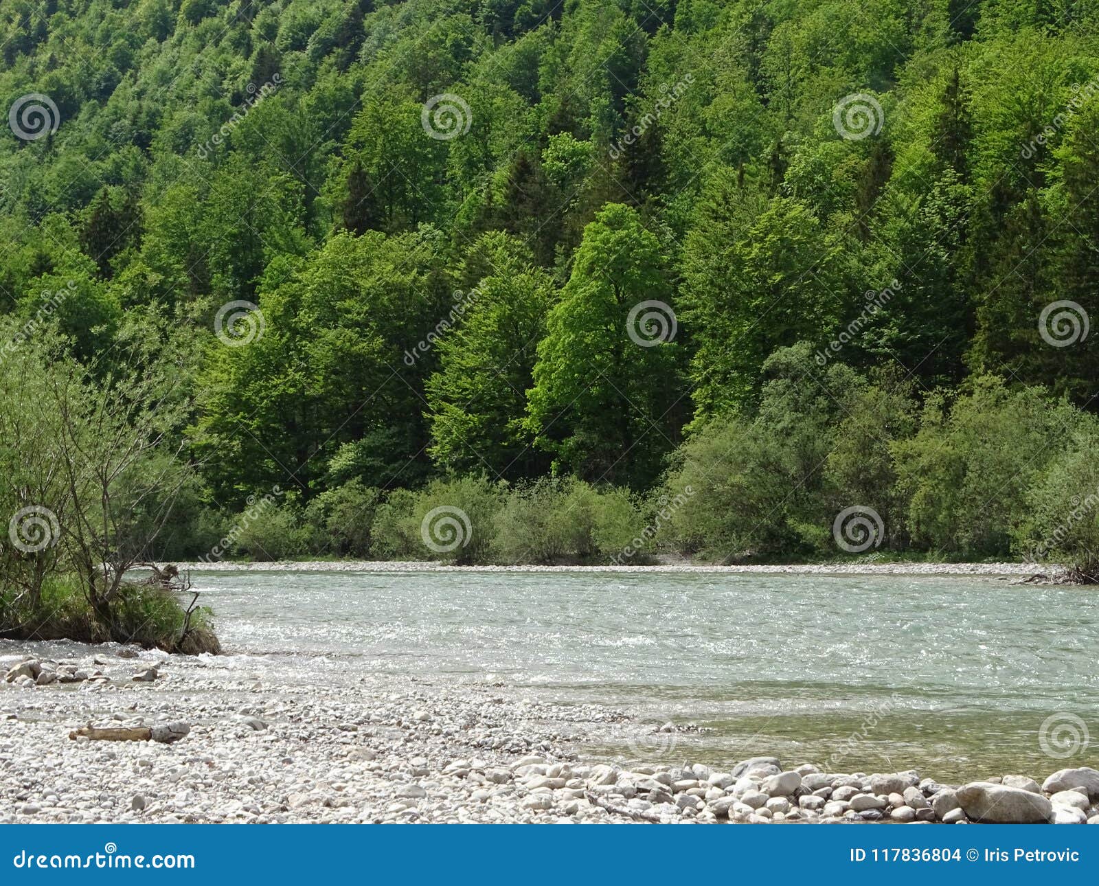 landscape at the river izar near valley fleck, bavaria