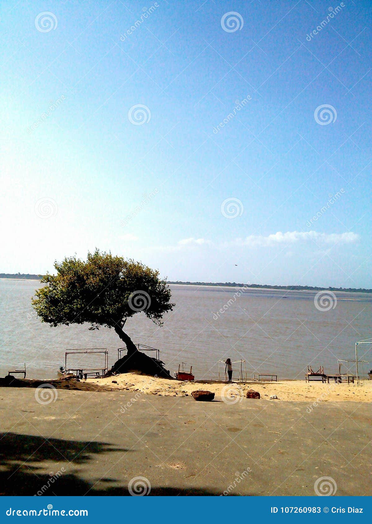 paisaje rÃÂ­o orinoco bolÃÂ­var venezuela