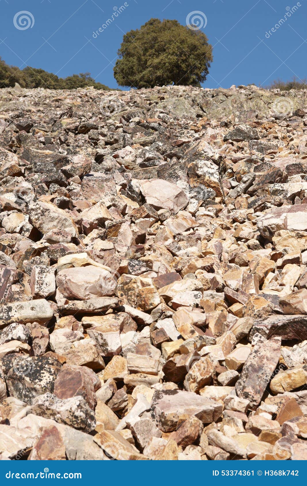 landscape with rocky ground and tree in cabaneros, spain