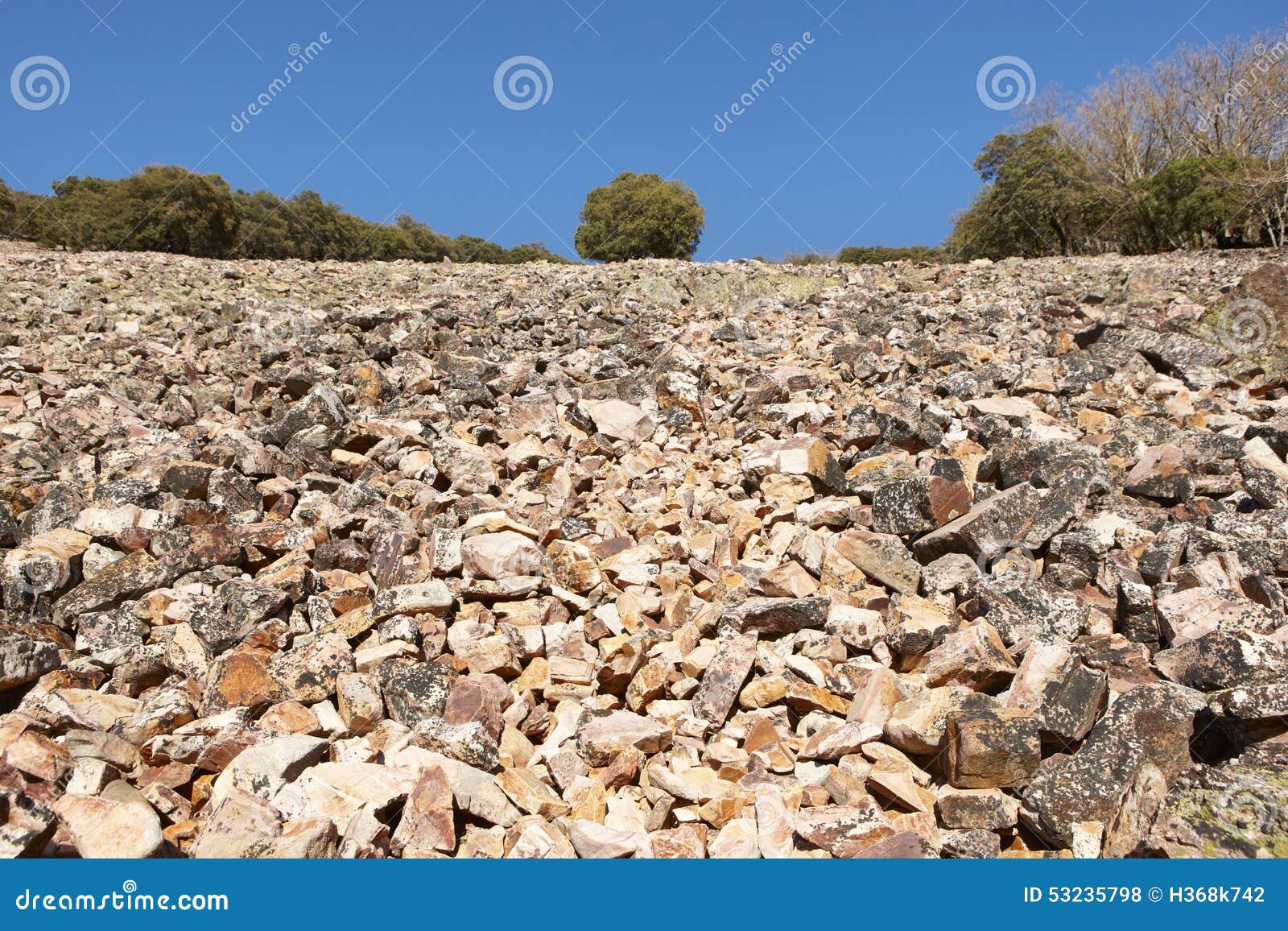 landscape with rocky ground and trees in cabaneros, spain