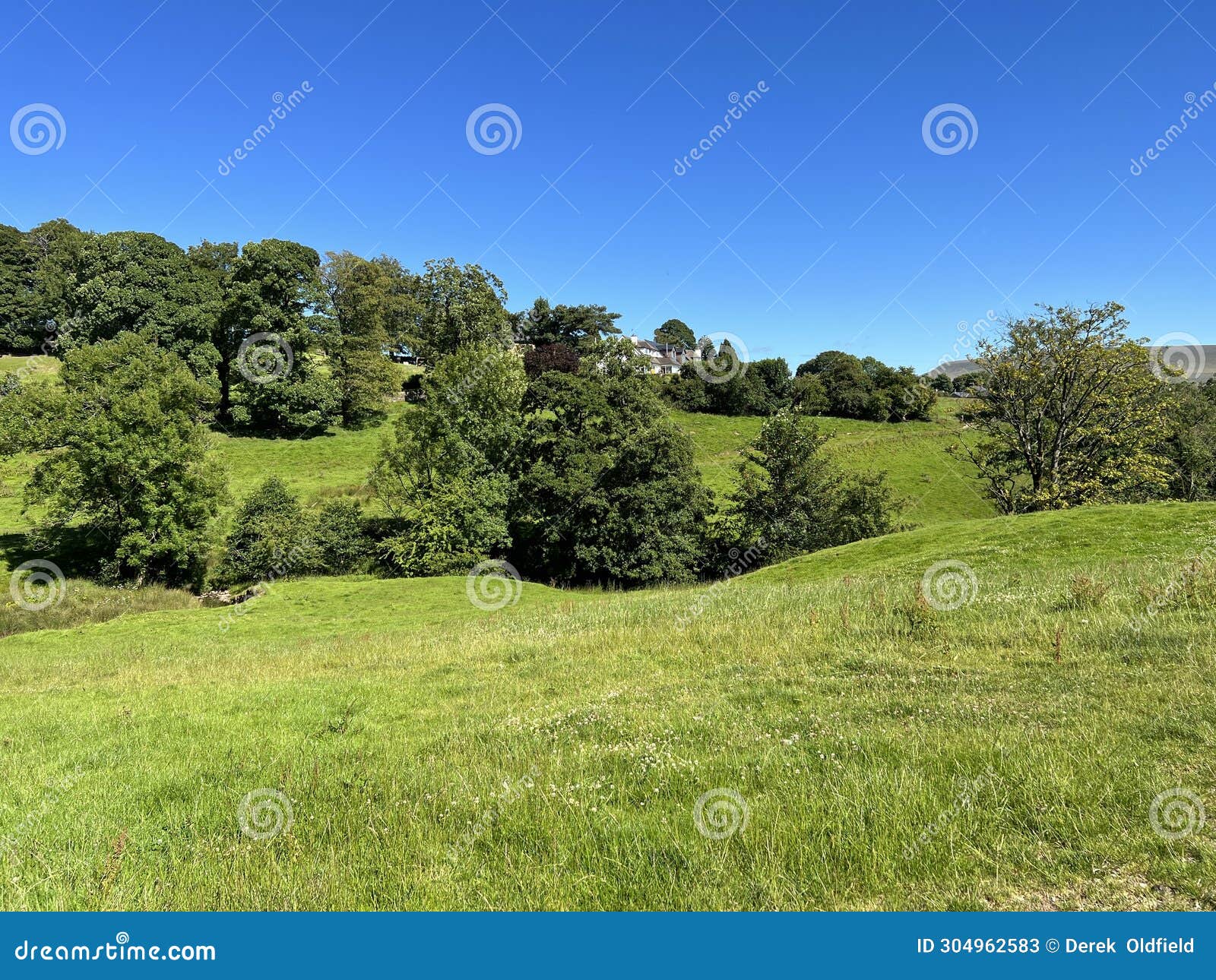landscape, with rolling fields, hills and trees in, grindleton, clitheroe, uk