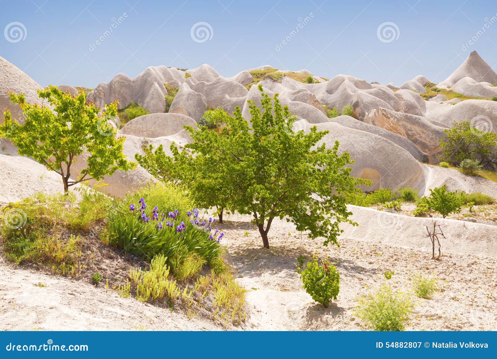 The Landscape of the Rose Valley in Cappadocia Stock Image Image of geology, rose 54882807