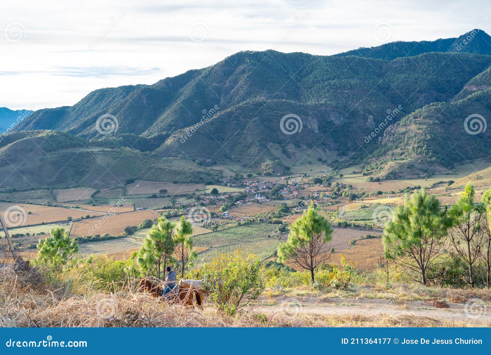 a man goes on horseback in the mountains of the town of santa rosa in the municipality of mascota jalisco.