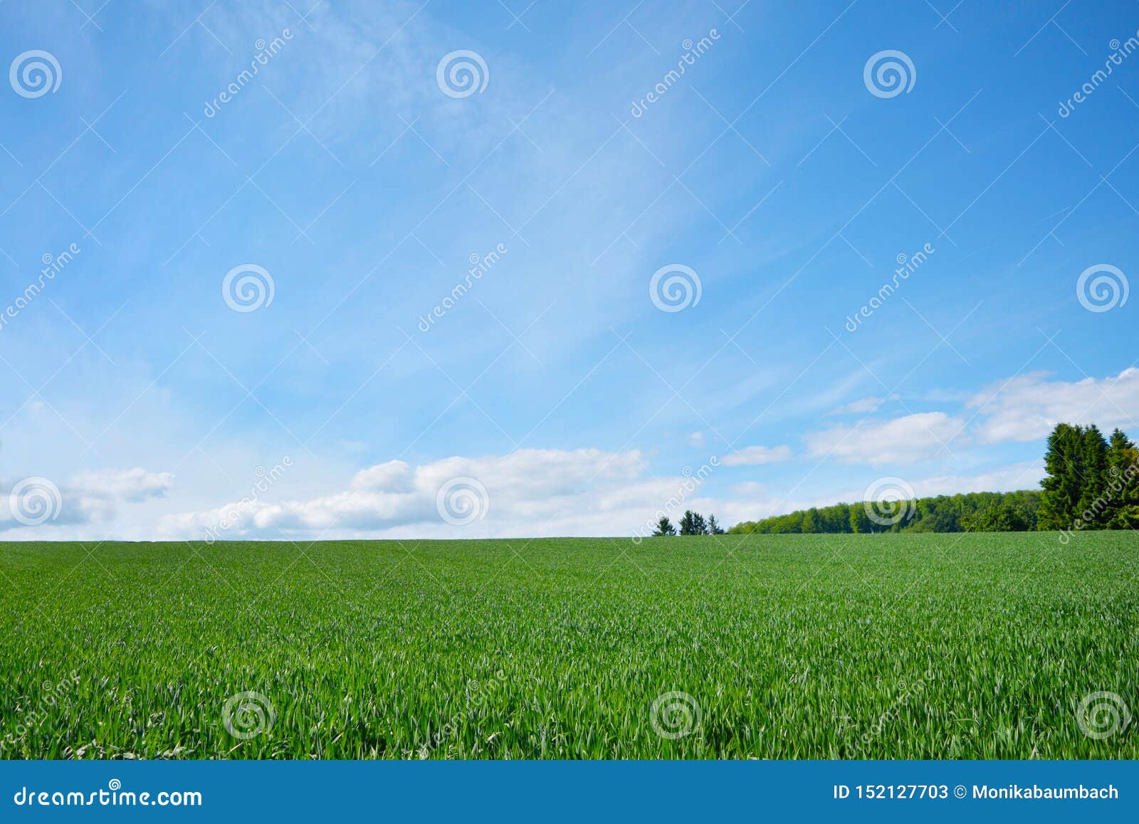 landscape scenery view with green meadows and blue sky on a summer day on certified climatic health resort gaiberg in germany