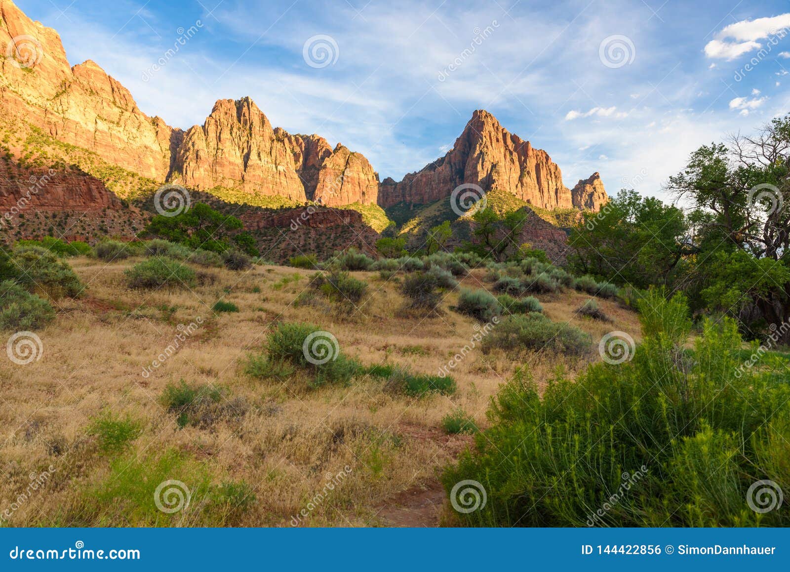 Landscape Scenery At The Zion National Park Beautiful Colors Of Rock