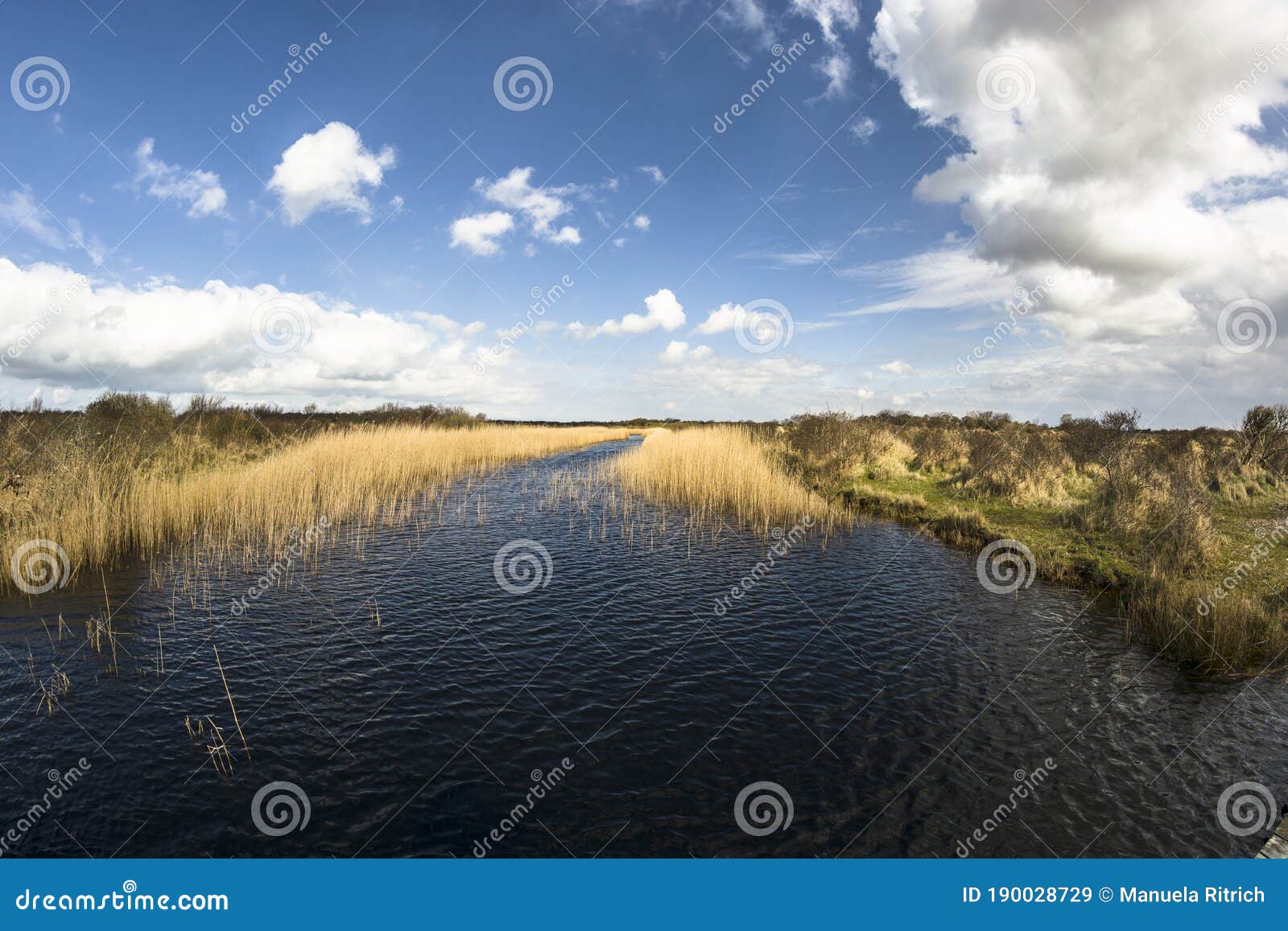 landscape on schiermonnikoog island