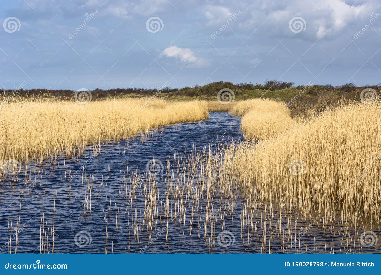 landscape on schiermonnikoog island