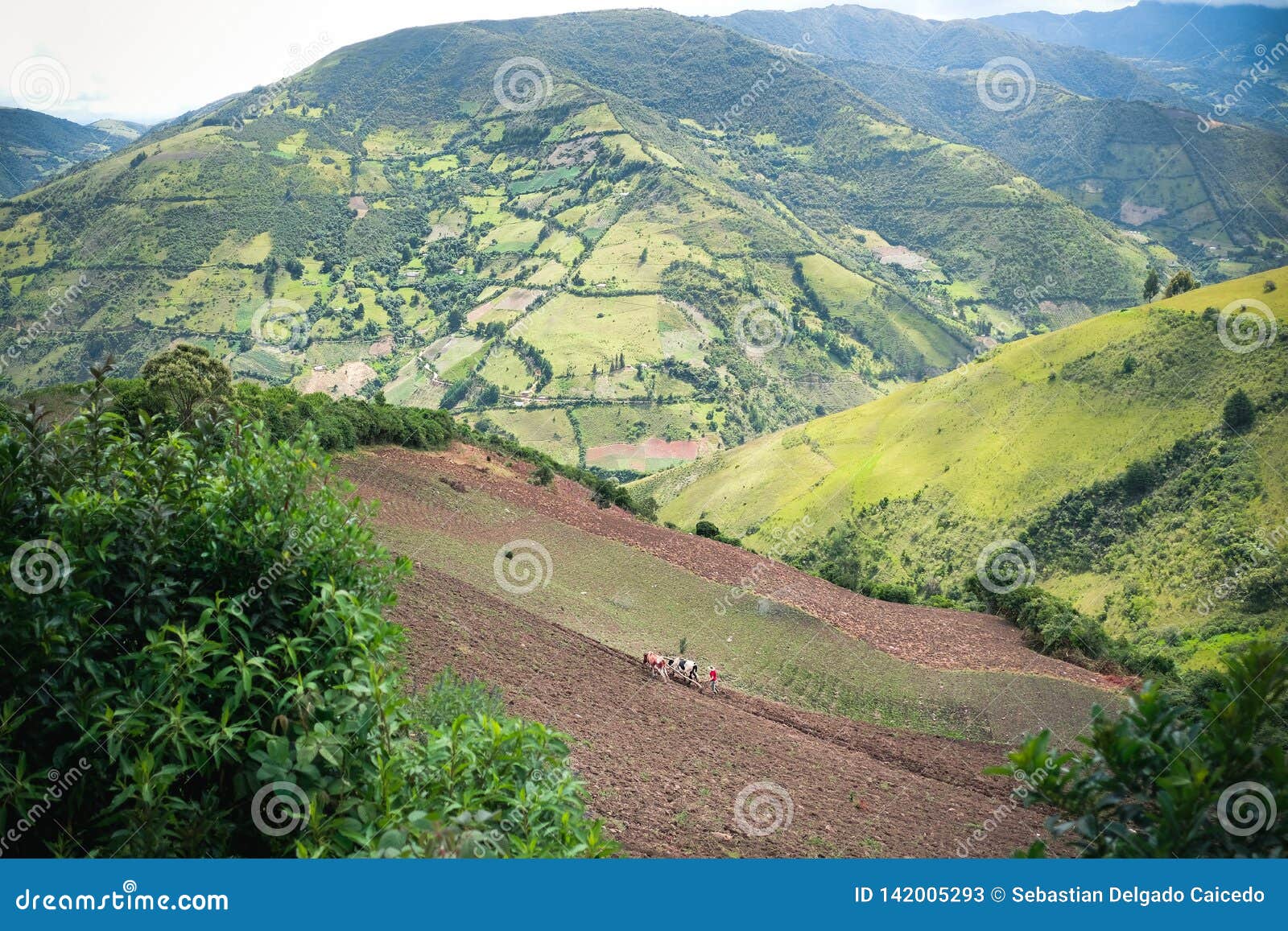 landscape with seeded in norte de santander, colombia