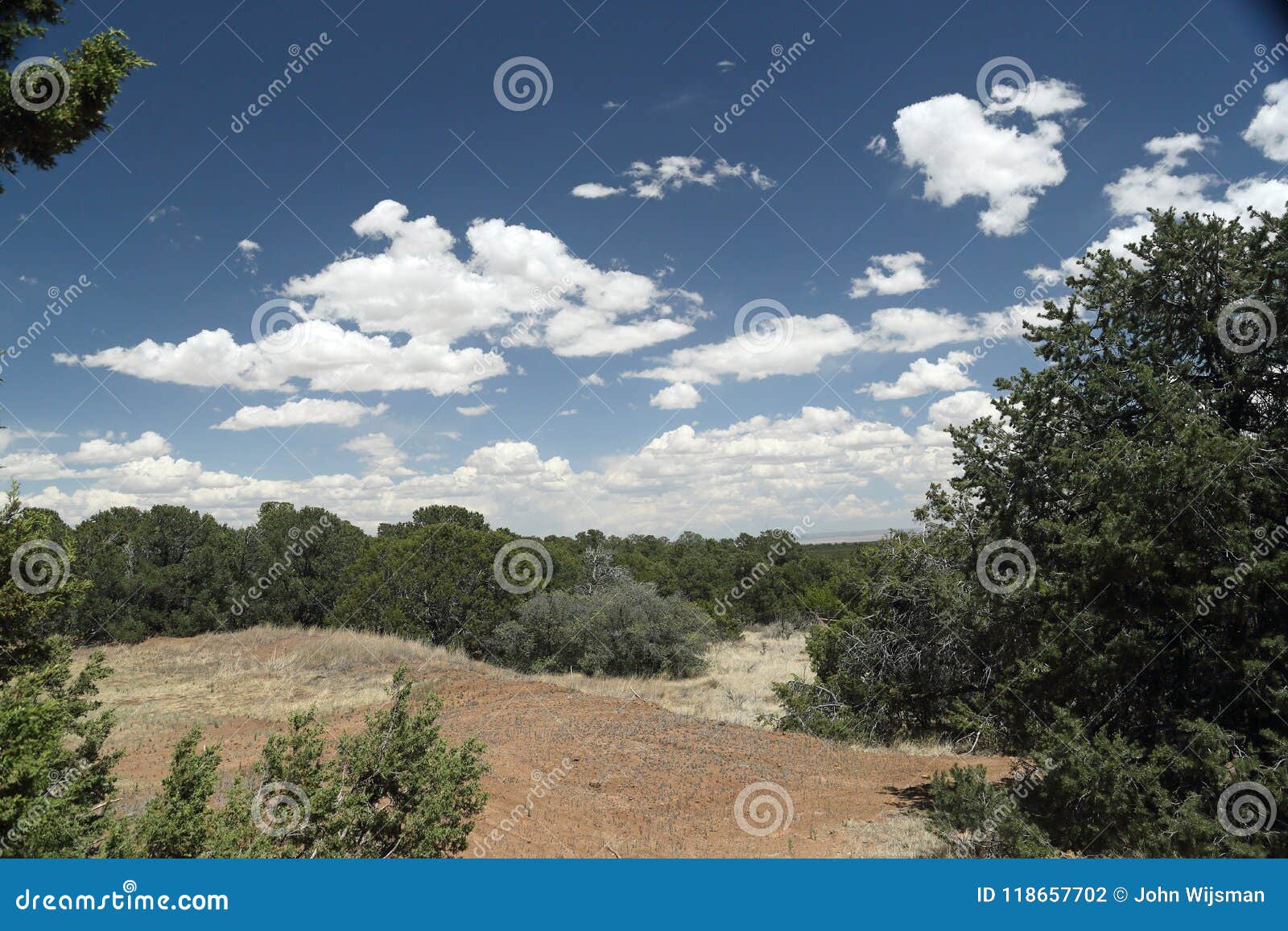 landscape with shrubs blue sky and cloud with a view of the high desert from tijeras