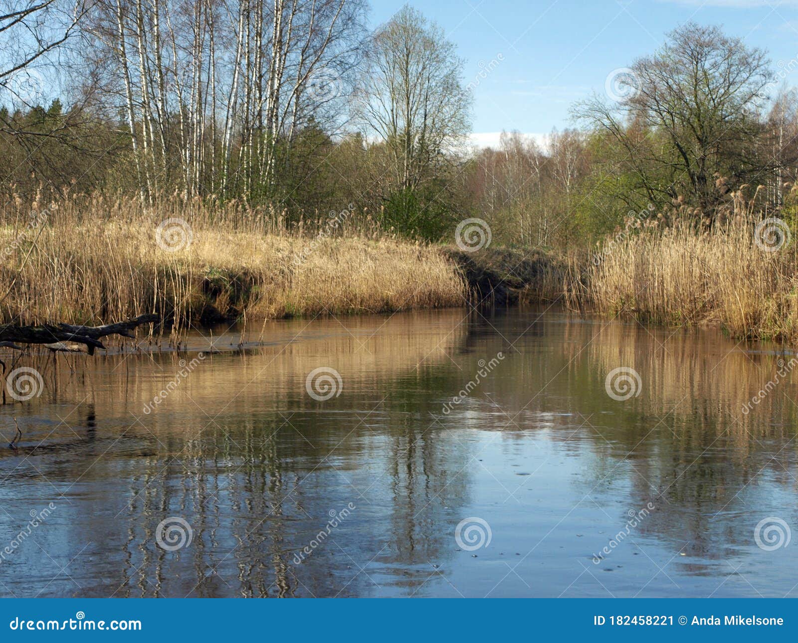 Landscape with a Small Wild River Bank, the First Spring Greenery, Last ...