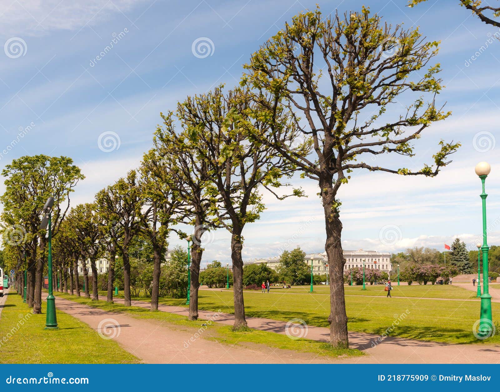 Landscape in a summer park stock image. Image of foliage 218775909