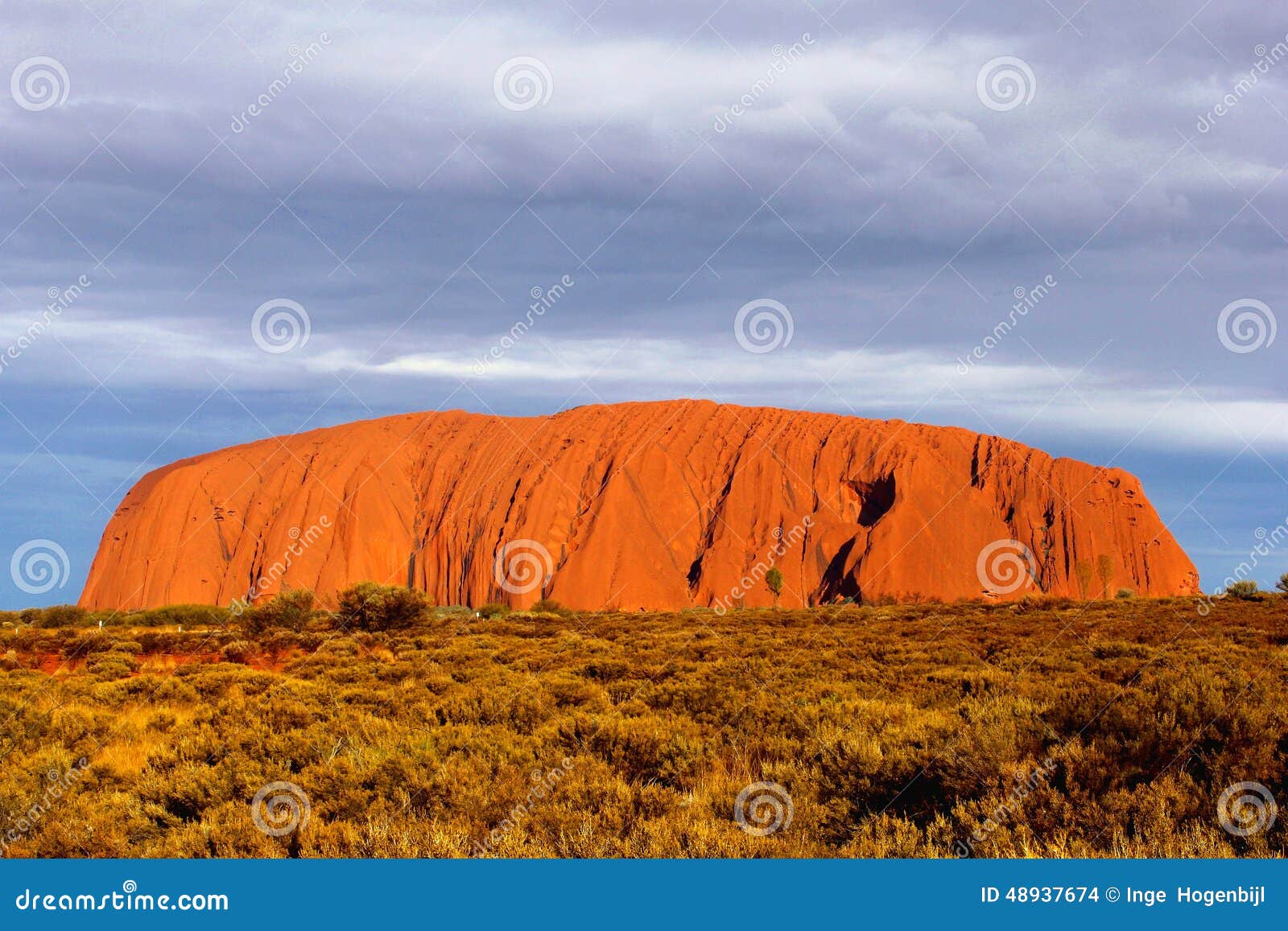 Picturesque Landscape With Orange Colored Uluru Ayers Rock 