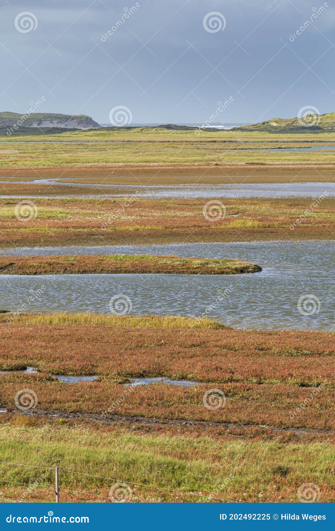 landscape texel, netehrlands