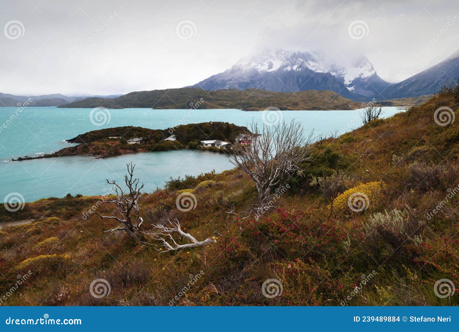 landscape of torres del paine np with the turquoise of lago pehoe, chile