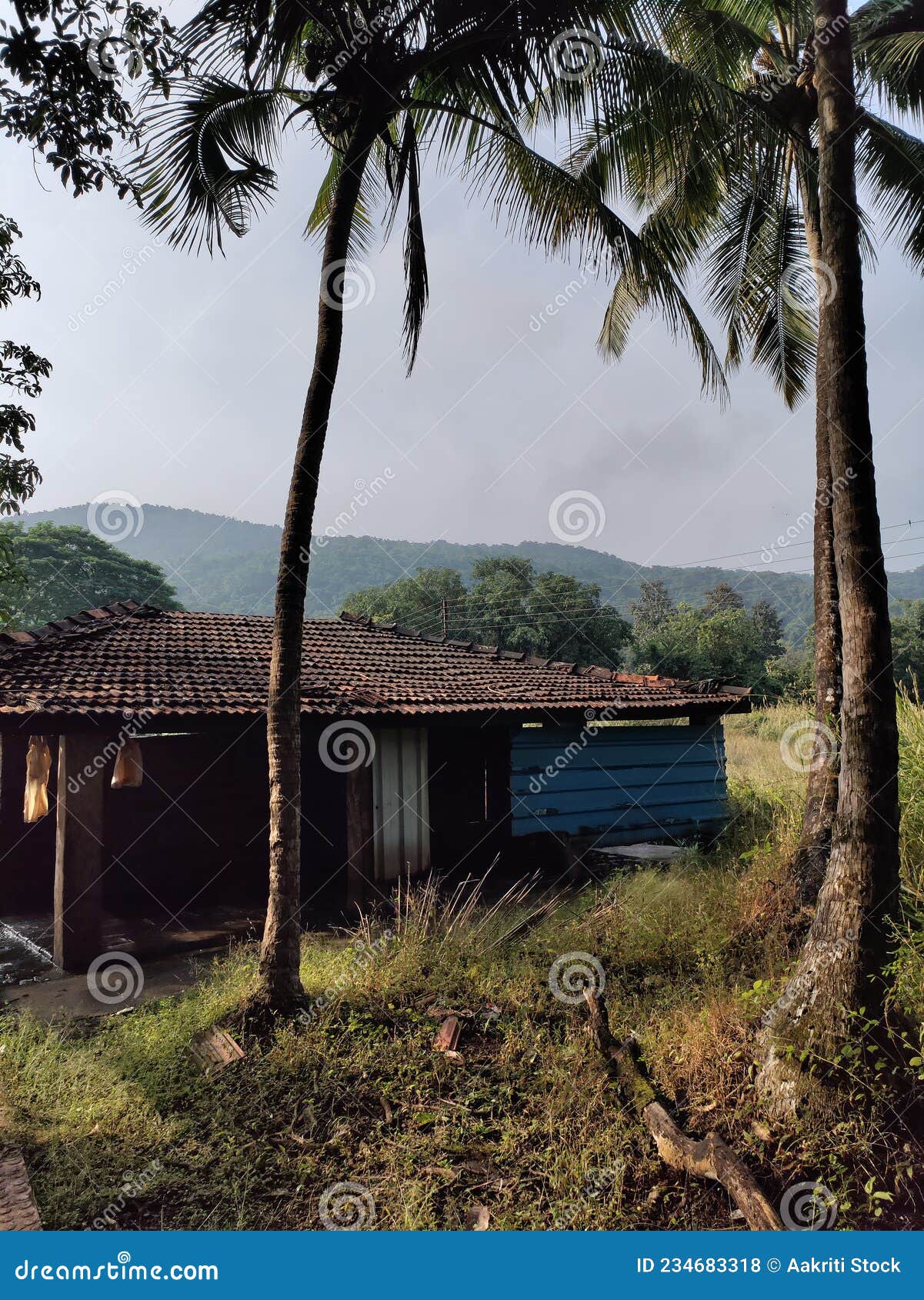 Landscape of Traditional Indian and Maharashtrian Village with Houses in  Background and Coconut Trees in Foreground, Konkan House, Stock Photo -  Image of ancient, coastal: 234683318
