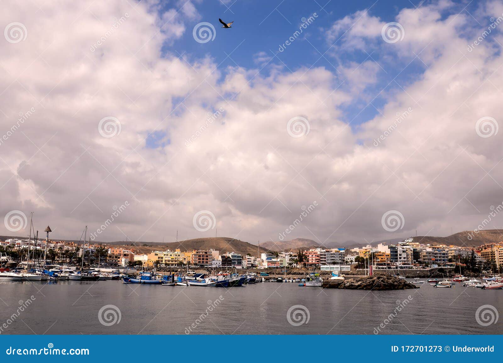 landscape in tropical volcanic canary islands spain