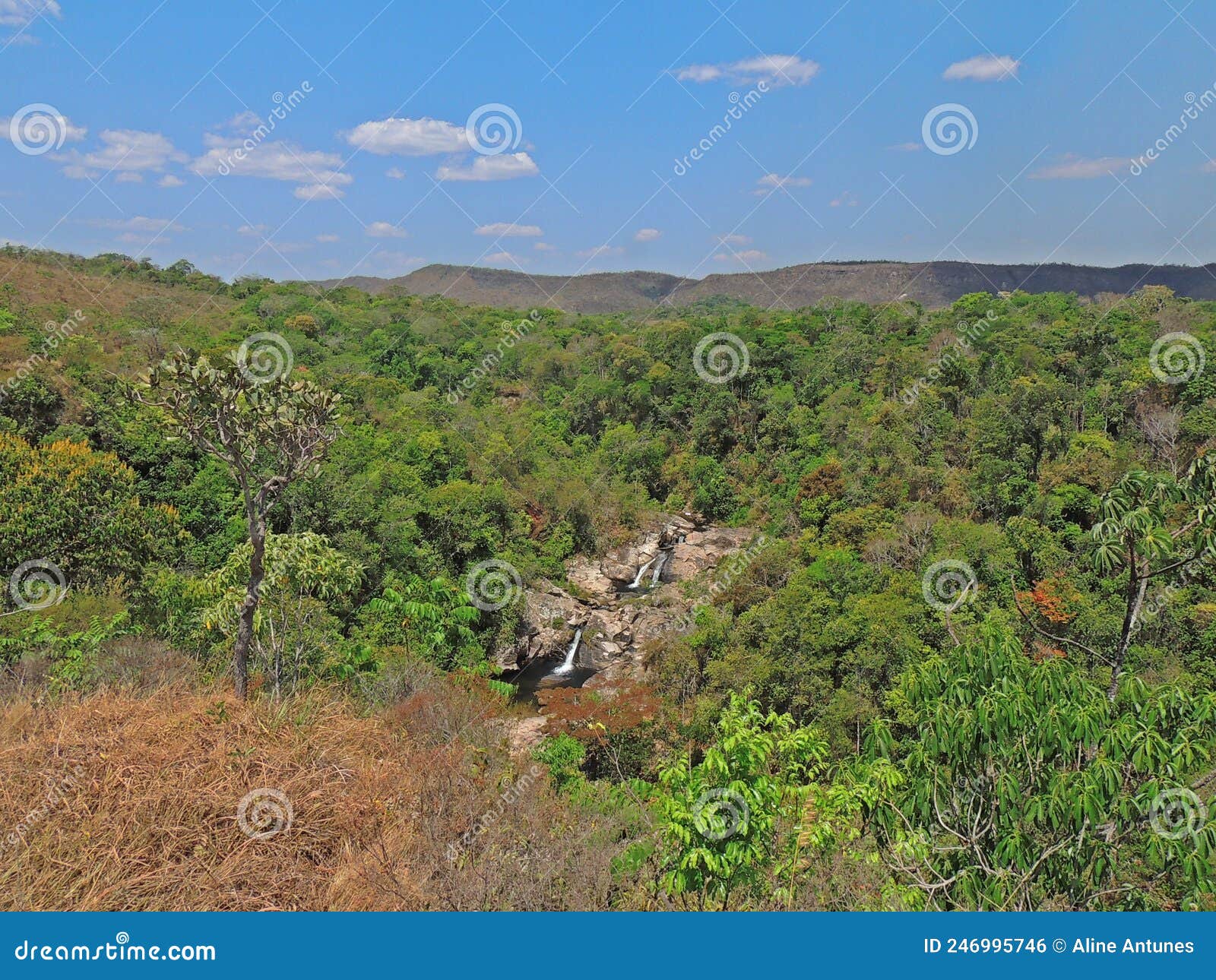 waterfalls with typical cerrado vegetation around them