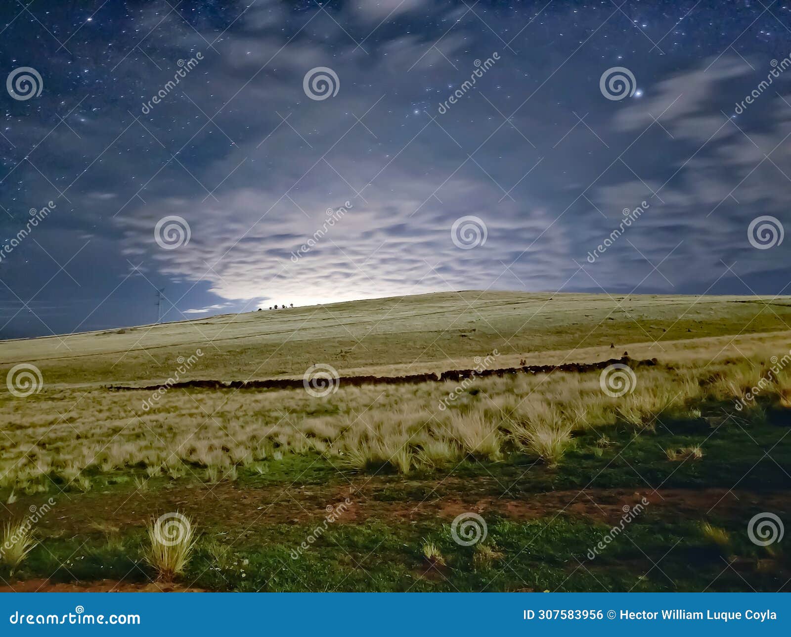 landscape under the moonlight with clouds and stars
