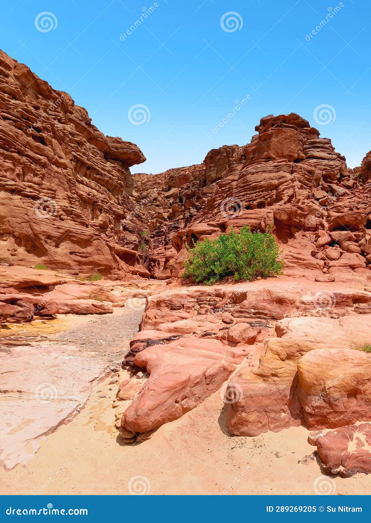 landscape of valle de piedra de granito and areniscas. rock formations in the desert of egypt. canyon colorado in sinai desert.