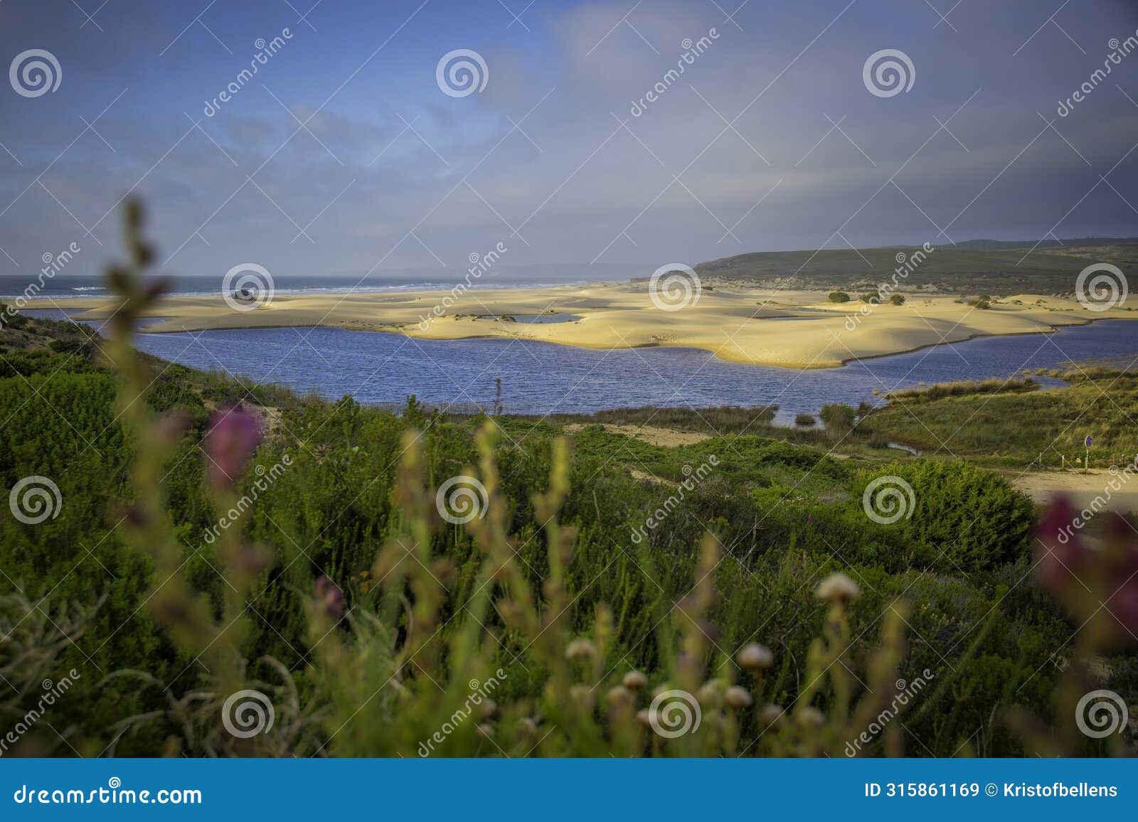 landscape view on bordeira beach near carrapateira on the costa vicentina in the algarve in portugal