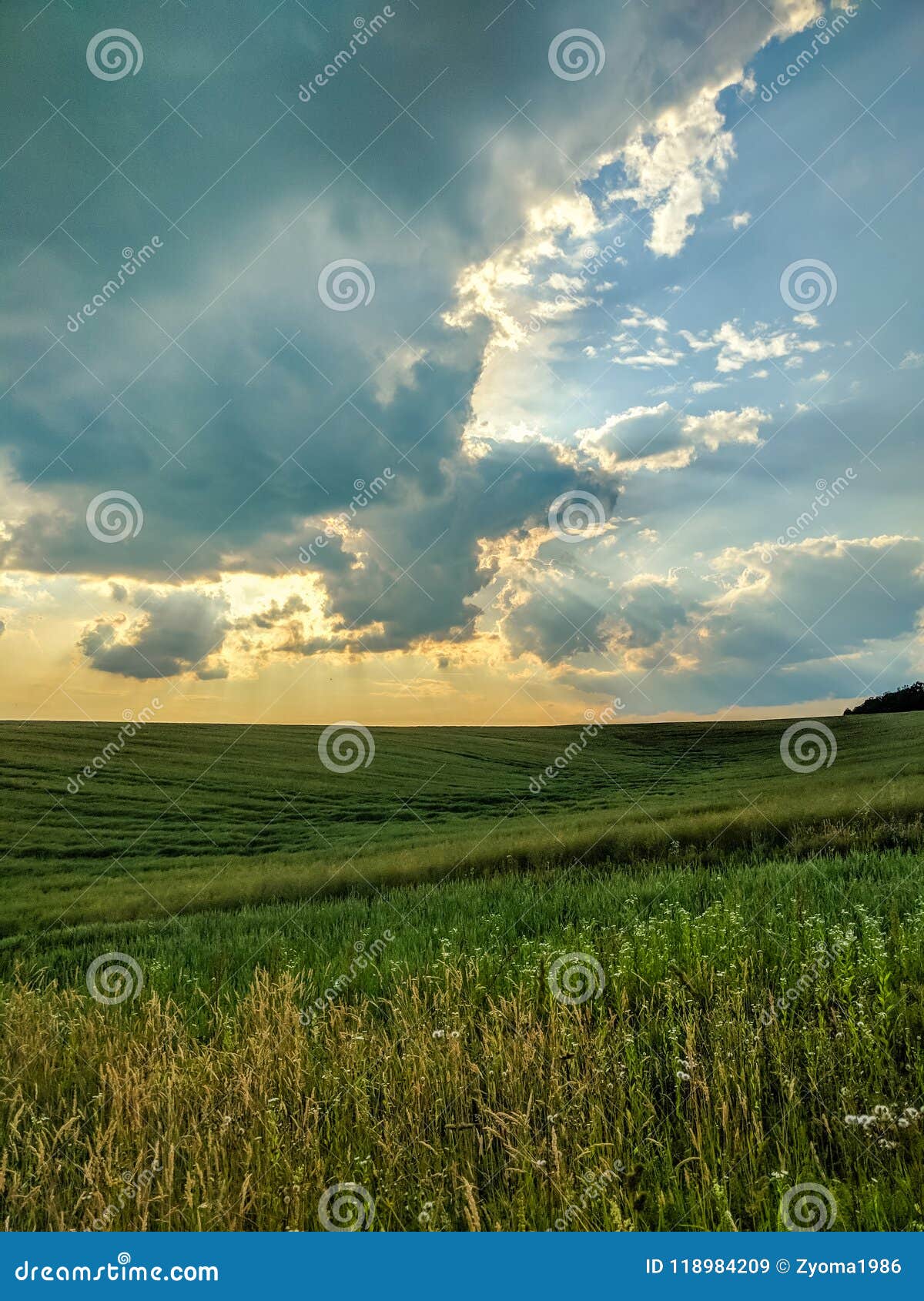 Landscape View of Green Fields and Clouds in the Summer Season Stock ...