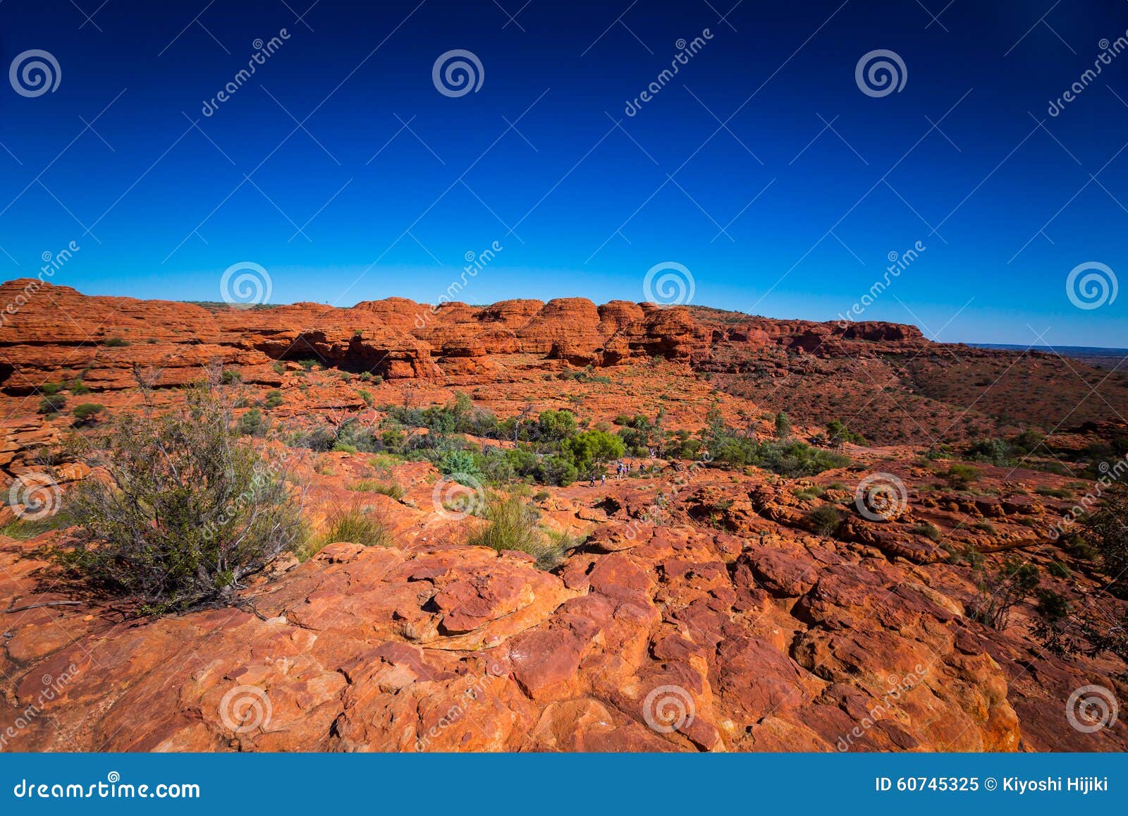 landscape view at kings canyon, australia outback