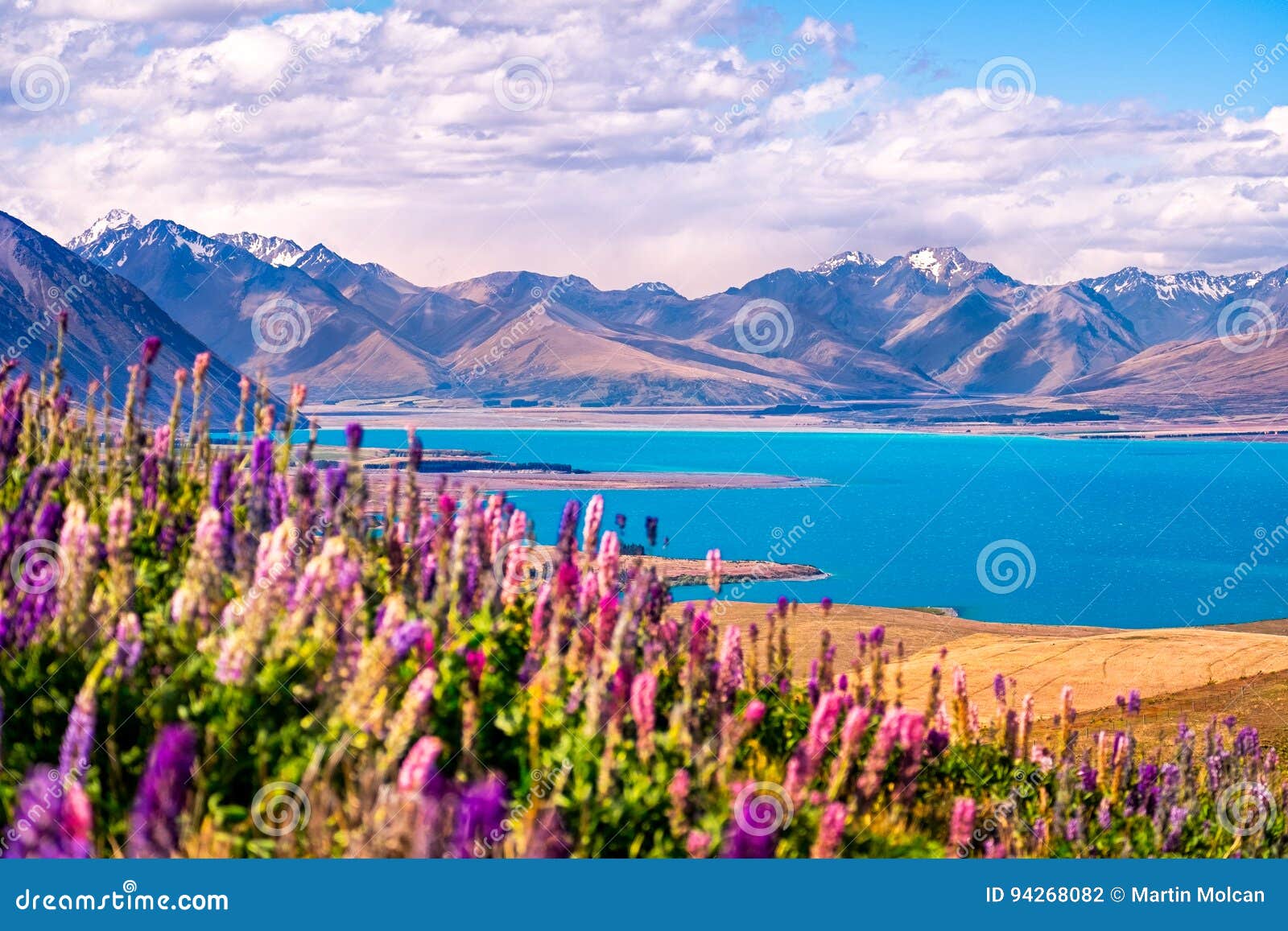 landscape view of lake tekapo, flowers and mountains, new zealand