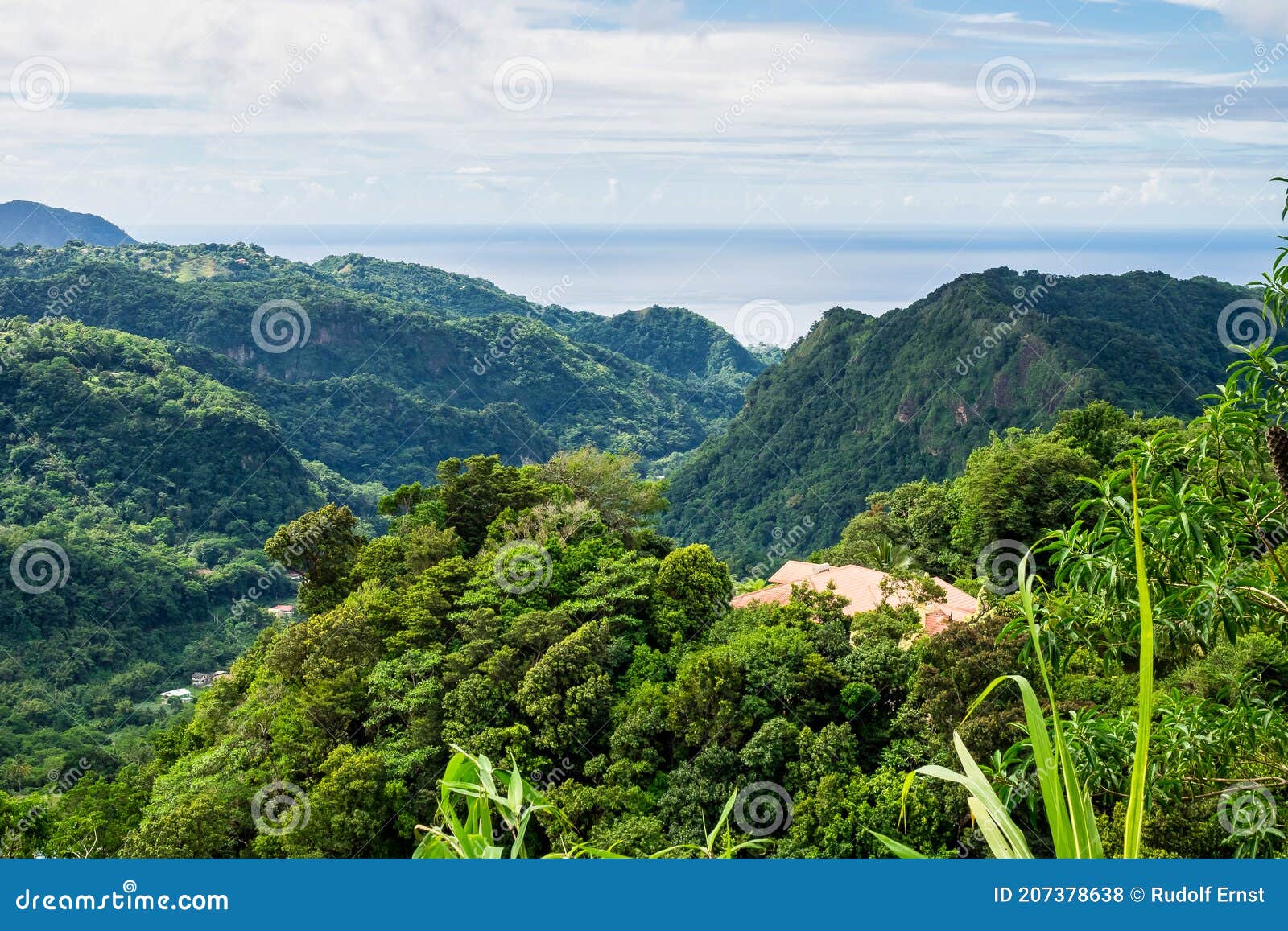 landscape view on trail to the trafalgar waterfalls. morne trois pitons national park, dominica, leeward islands